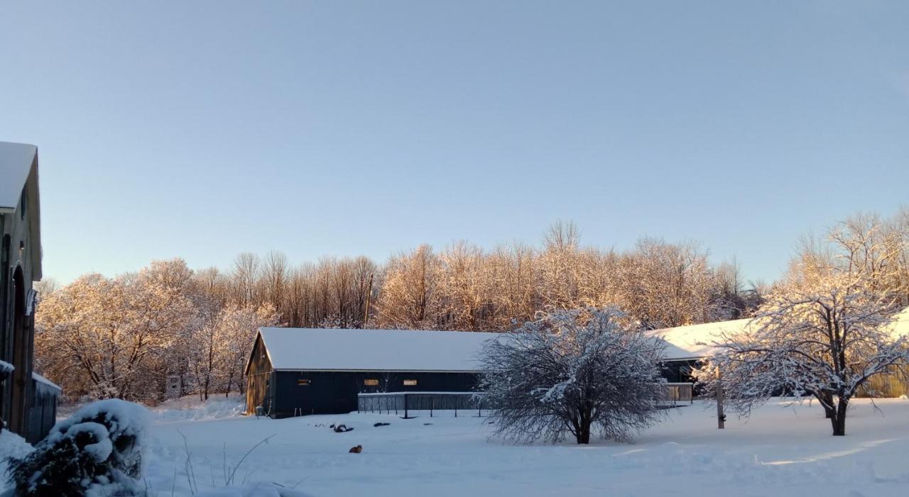 Beatnik Hotel Bromont Esterno foto