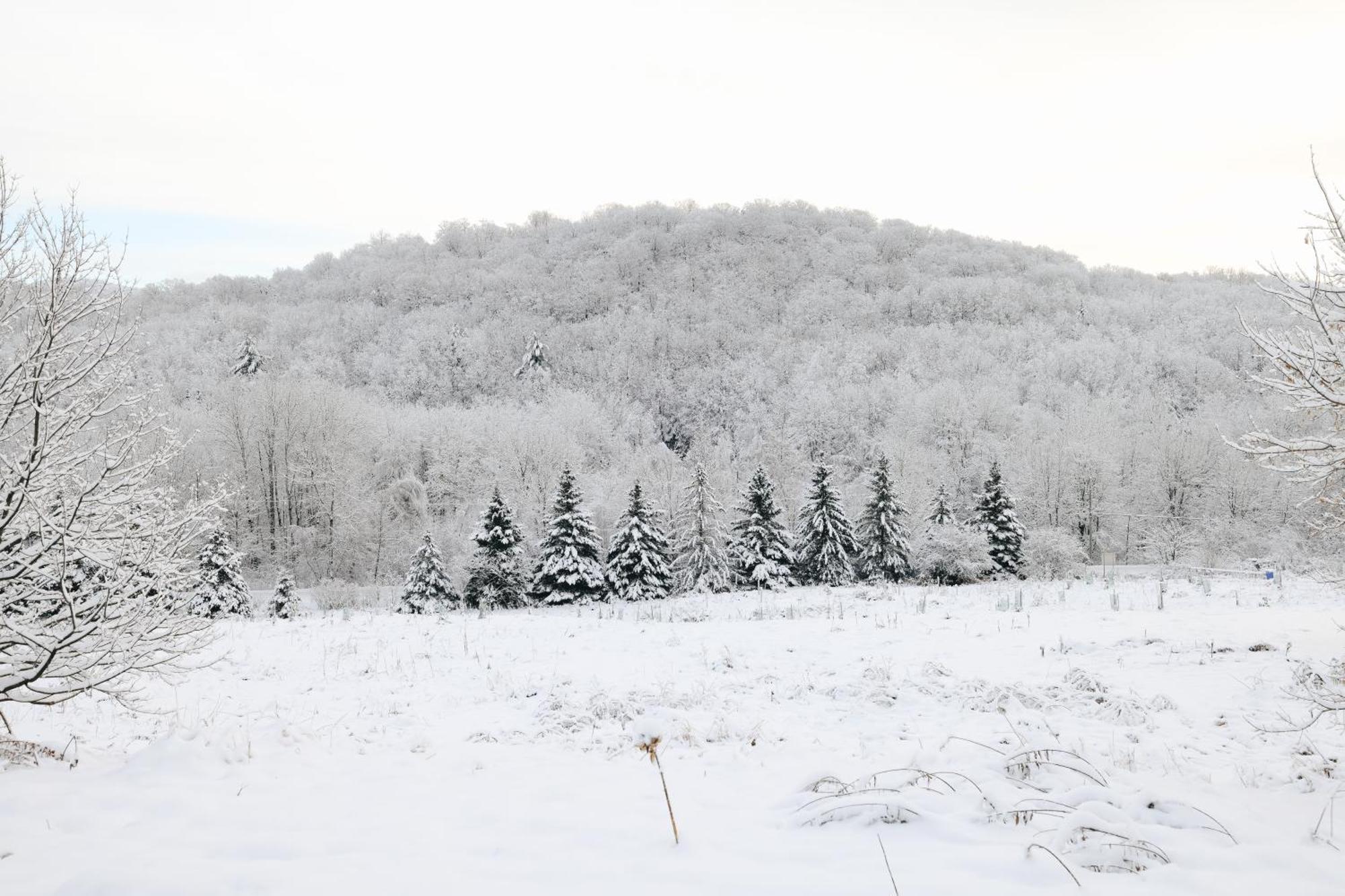 Beatnik Hotel Bromont Esterno foto